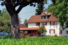 Гостиница Gasthof zum Hirsch, Нойкирх